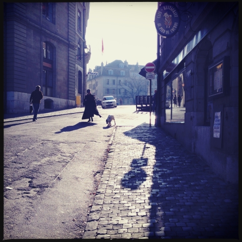 Long shadows on a short day