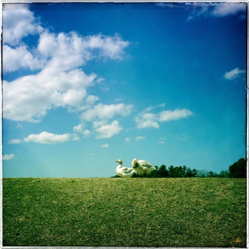 A good day for a picnic 